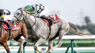 【AJCC】ガイアフォース、バビットらが登録