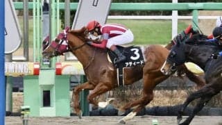 【ジャニュアリーS】アティードがオープン初勝利