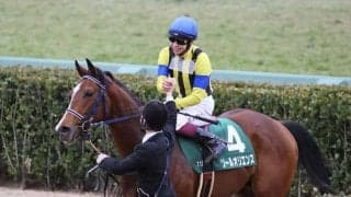 【京成杯】横山武「3コーナー手応えが怪しくなった」ソールオリエンスがデビュー2連勝