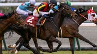 【日経新春杯】59キロ ヴェルトライゼンデが差し切る