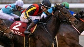 【日経新春杯】イーガン「ハートもガッツもある」ヴェルトライゼンデが重賞2勝目