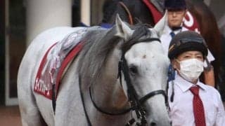 中山でAJCC、中京で東海S 武豊騎手はJRA通算4400勝まであと「2」/今週の競馬界の見どころ