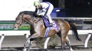 【高知・大高坂賞】モダスオペランディが4馬身差圧勝/赤岡「入厩する馬のレベルが上がってきている」