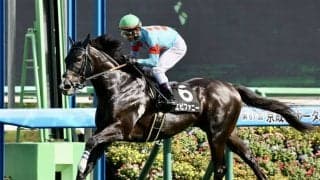 【AJCC登録馬】エピファニーなど14頭