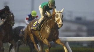 【AI予想・東海S】怒涛の追い込みが炸裂か!? 混戦模様のダート重賞で人工知能が推奨する◎候補