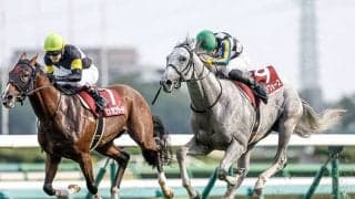 【AJCC想定騎手】ガイアフォースはC.ルメール騎手、エピファニーは戸崎圭太騎手