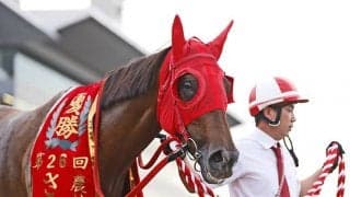 9歳牝馬サルサディオーネが東海Sに参戦 地方牝馬がJRA重賞Ｖなら16年ぶり偉業だ