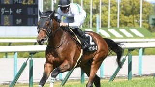【東海S】兄は米ダートG1馬 初ダートの“砂の良血”アイアンバローズは侮れない