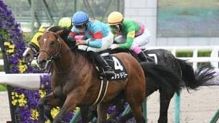 イクイノックスのいとこがAJCCで待望の重賞初挑戦！ 武器は12戦連続4着以内の安定感