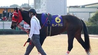 女性騎手対決を今村聖奈で制したヒノクニ 実は16年ぶりの“珍事Ｖ”を成し遂げていた！