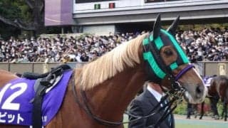 【AJCC展望】コース実績を持つあの馬の巻き返しに期待したい