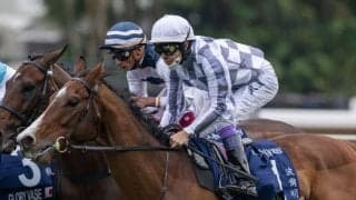 【海外競馬】キーファーズ所有 ブルームが現役続行