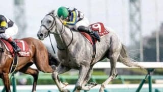 【AJCC予想オッズ】ガイアフォースが予想1番人気