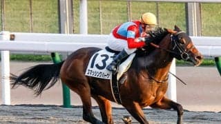 【東海S】砂のタレント集団・新谷厩舎に注目！ スマッシングハーツが強豪撃破狙う