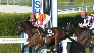 【東海S予想オッズ】ハギノアレグリアスが予想1番人気