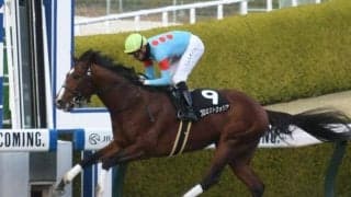 【東海S展望】フェブラリーSへのステップレース、近年の傾向とは