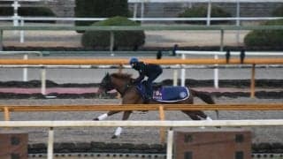 テーオーケインズ、川崎記念追い切り速報/栗東トレセンニュース