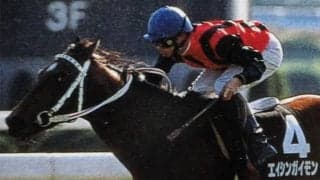 30歳エイシンガイモン死亡 関屋記念連覇など重賞3勝 同期にダンスインザダークやフサイチコンコルド