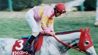 冬の中山で復活！ ホワイトストーンの逃走劇から30年