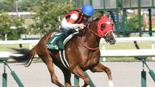 ウインマーベルやナムラクレアなどシルクロードSに14頭