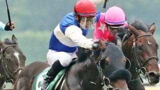 ダイワキャグニーが競走馬登録抹消