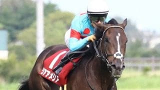 リアアメリアが競走馬登録抹消