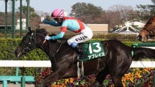 アブレイズが競走馬登録抹消