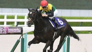 4歳上ではタイトルホルダーがトップ 22年のJPNサラブレッドランキング