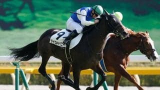 20年のエプソムカップ覇者ダイワキャグニーが登録抹消 今後は馬事公苑で乗馬に