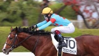 勢い一番プロミストウォリア 東海Sには“逆風データ”も