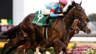 重賞2勝のリアアメリアが登録抹消 今後はノーザンファームで繁殖入り