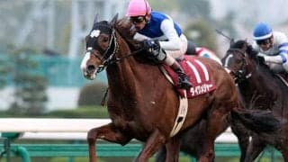 メジャー＆スカーレットの兄妹などを所有 「ダイワ」大城オーナーの最後のJRA所有馬ダイワキャグニーが登録抹消