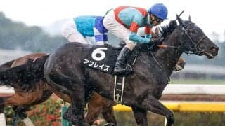 20年のフラワーカップ覇者アブレイズが登録抹消 ノースヒルズで繁殖入りへ