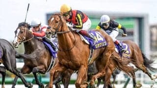 世界のトップ100GIに日本から12競走 最高は皐月賞の15位