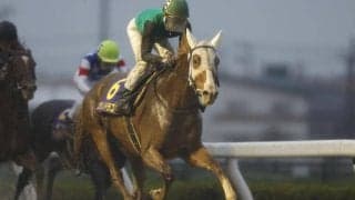 【東海S出走馬・騎手確定】ハギノアレグリアス＆川田将雅騎手、クリノドラゴン＆武豊騎手など15頭