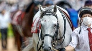 【AJCC出走馬・騎手確定】ガイアフォース＆ルメール騎手、エピファニー＆戸崎圭太騎手など14頭