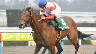 19年きさらぎ賞覇者のダノンチェイサーが登録抹消 今後は乗馬に