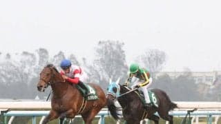 ダノンチェイサーが競走馬登録抹消