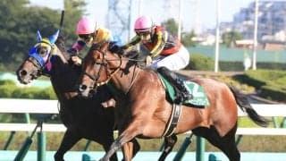 紫苑SのG2格付けと新潟牝馬Sのリステッド格付け