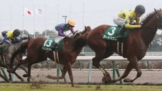 【愛知杯】アートハウスが重賞2勝目