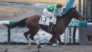 【新馬/中京4R】ディクレアブルームが人気に応える
