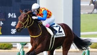 【新馬/小倉5R】ビッグアーサー産駒 テーオーヴァイナーがデビューV