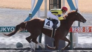 【新馬/中京3R】カーリン産駒 キスオンザチークがデビュー勝ち