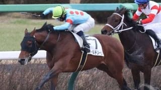 【新馬/中山6R】外国産ボールドゾーンがデビューV