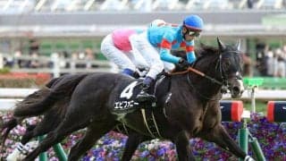 アリストテレス＆エピファニー 父エピファネイアの“連敗ストッパー”になれるか