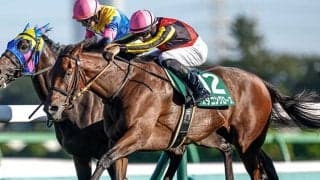 紫苑SがGIIに昇格 新潟牝馬Sはリステッドに格付け