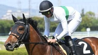 トレンドはオルフェーヴル産駒のダート替わり！ 初砂挑戦の馬に注意