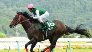 アメリカジョッキークラブＣは6歳馬が強い。今年の注目はルーラーシップ産駒と、中山で「複勝率100％」の良血馬