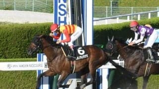 【東海S枠順確定】ハギノアレグリアスは3枠4番、クリノドラゴンは7枠12番