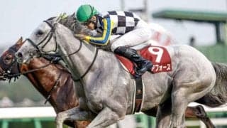 【AJCC枠順確定】ガイアフォースは6枠10番、エピファニーは7枠11番